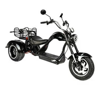 SKYBOARD Dnepr Chopper-4000 Wide