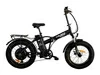 Elbike Taiga 2 Vip 13 (Черный)