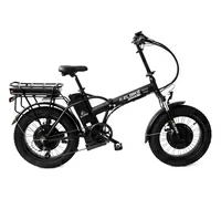 Elbike Taiga 3 Twix 2000