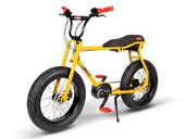 Электровелосипед Ruff & Cycles LIL'BUDDY (Bosch Active Line 300Wh) - Фото 2