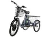 E-motions Kangoo-ru 500w