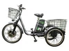 E-motions Kangoo-ru 700w