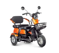 Gelbert Caf 48V/60V 600Вт (оранжевый)