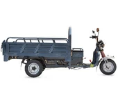 Электротрицикл Rutrike Титан 2000 ГИДРАВЛИКА 60V1500W - Фото 6