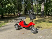 Электротрицикл TRION Partner NOVA [без АКБ] - Фото 6
